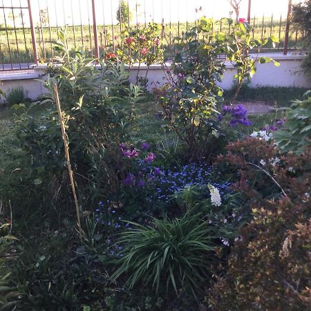 Suite Al Pian Gugi Екстериор снимка